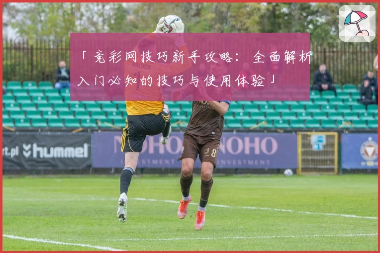 「竞彩网技巧新手攻略：全面解析入门必知的技巧与使用体验」